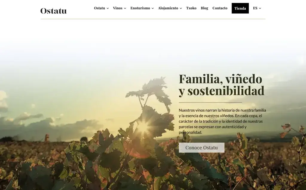 Bodegas Ostatu - diseño web en Vitoria
