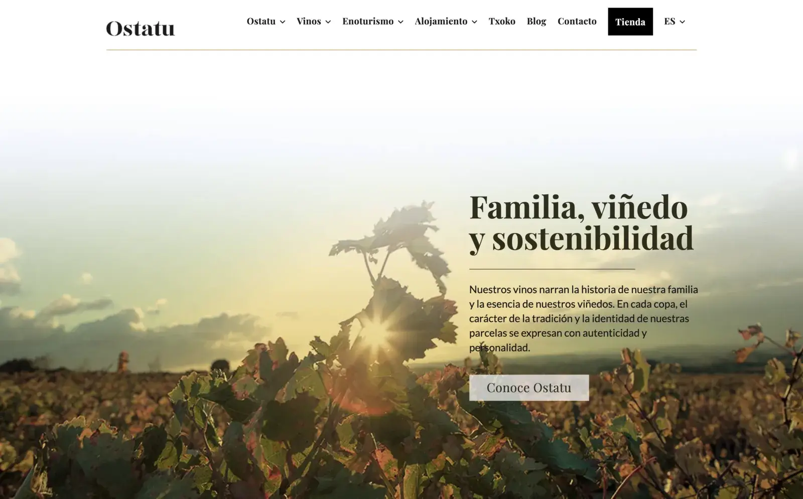 Bodegas Ostatu - diseño web en Vitoria