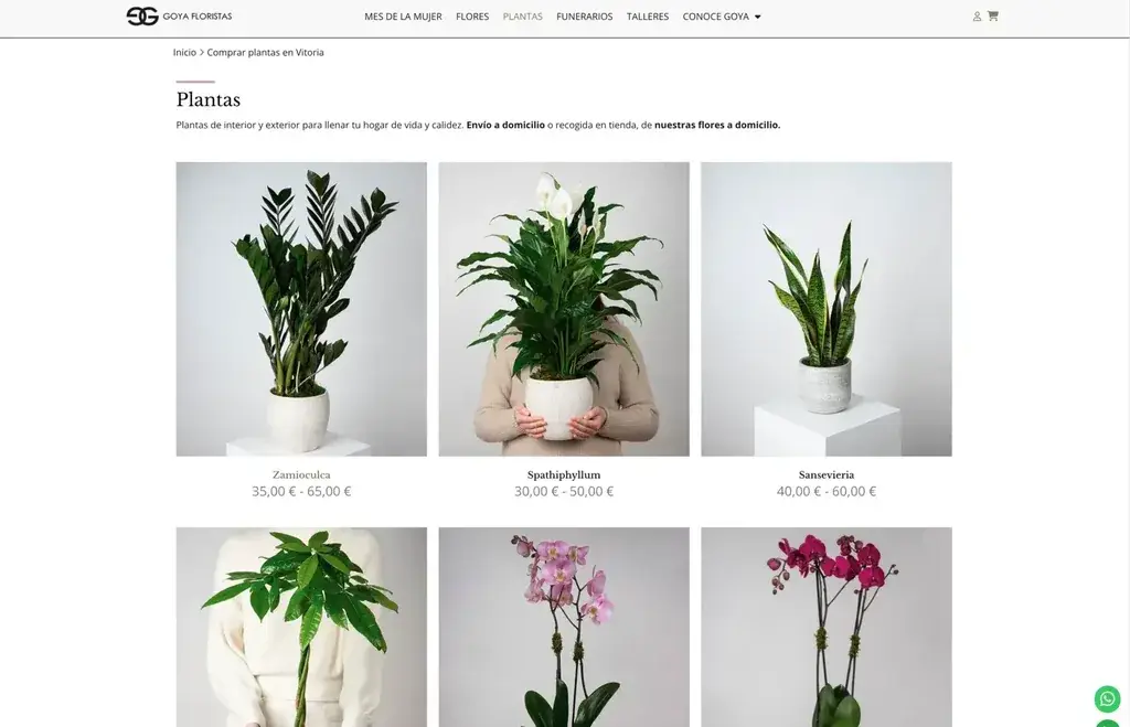 Goya Floristas - tienda online, categoría Plantas