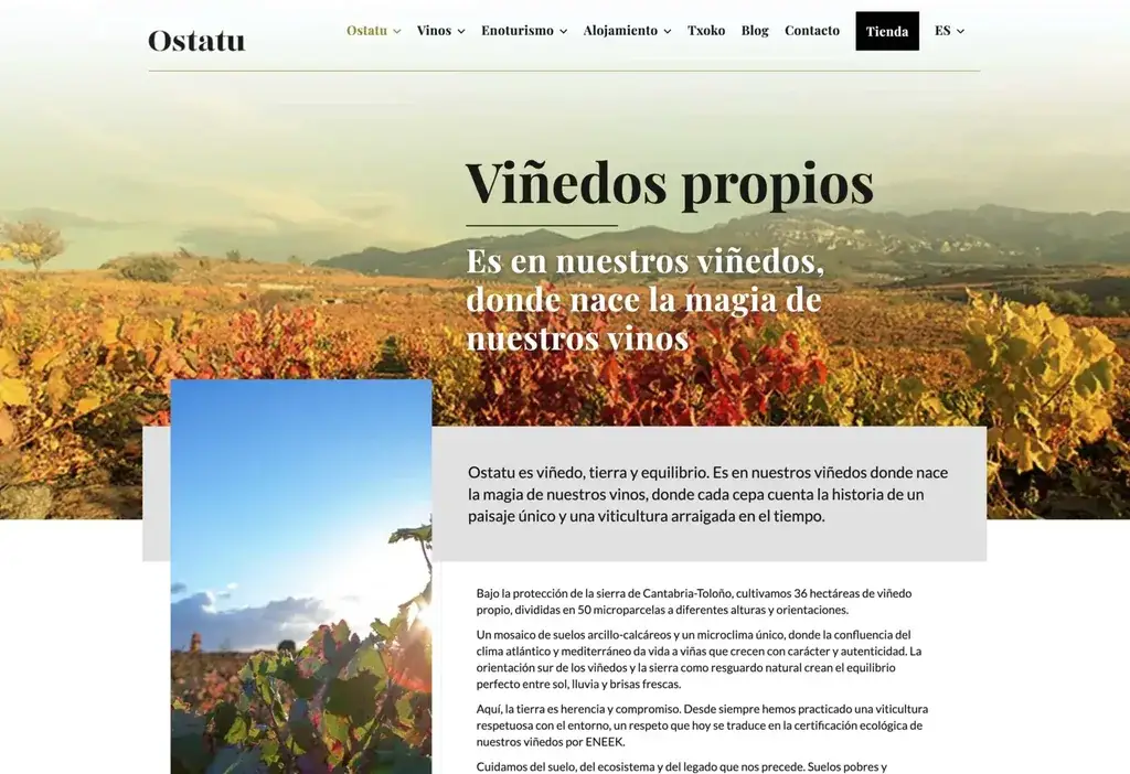 Bodegas Ostatu - sección Viñedos propios