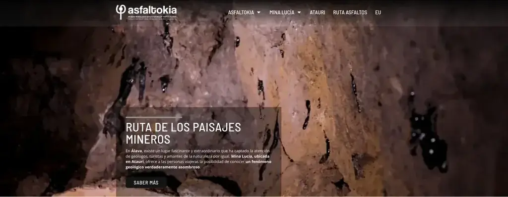 Asfaltokia - sitio web · institucional