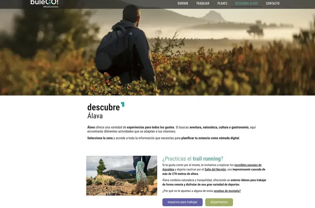 Work from Álava - página interior de la web